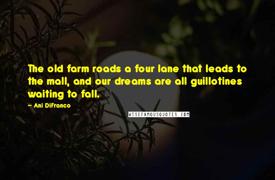 Ani DiFranco Quotes: The old farm roads a four lane that leads to the mall, and our dreams are all guillotines waiting to fall.