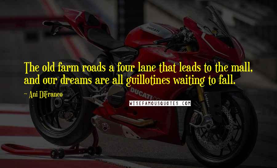 Ani DiFranco Quotes: The old farm roads a four lane that leads to the mall, and our dreams are all guillotines waiting to fall.