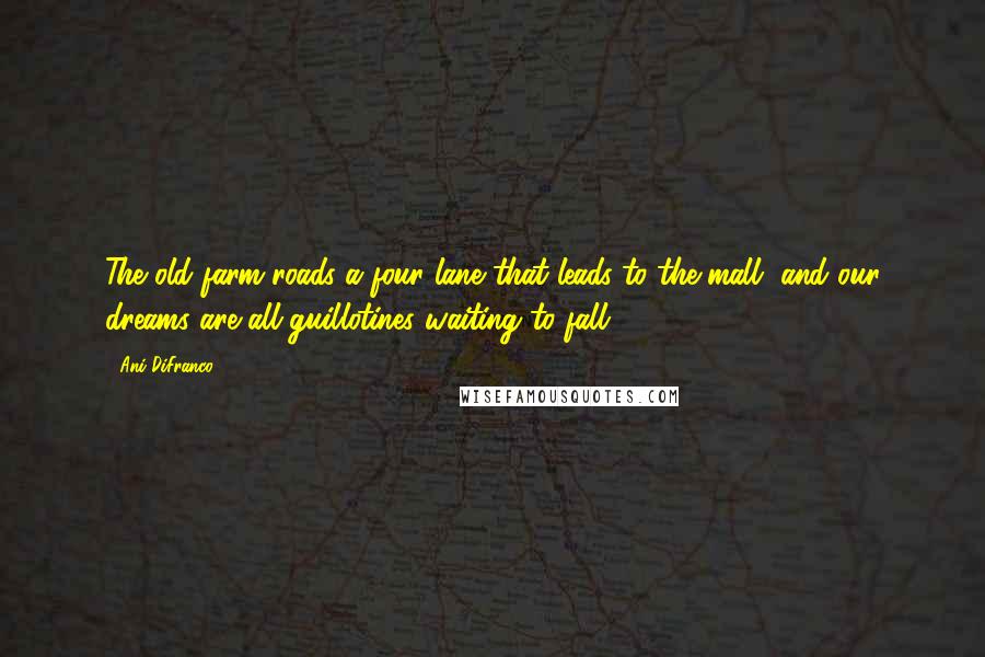 Ani DiFranco Quotes: The old farm roads a four lane that leads to the mall, and our dreams are all guillotines waiting to fall.