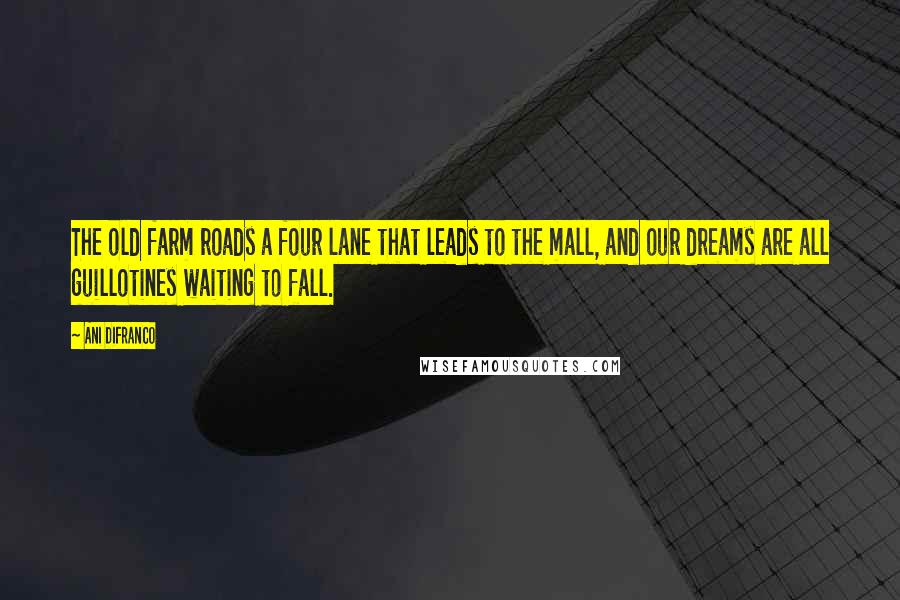 Ani DiFranco Quotes: The old farm roads a four lane that leads to the mall, and our dreams are all guillotines waiting to fall.