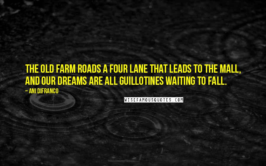 Ani DiFranco Quotes: The old farm roads a four lane that leads to the mall, and our dreams are all guillotines waiting to fall.