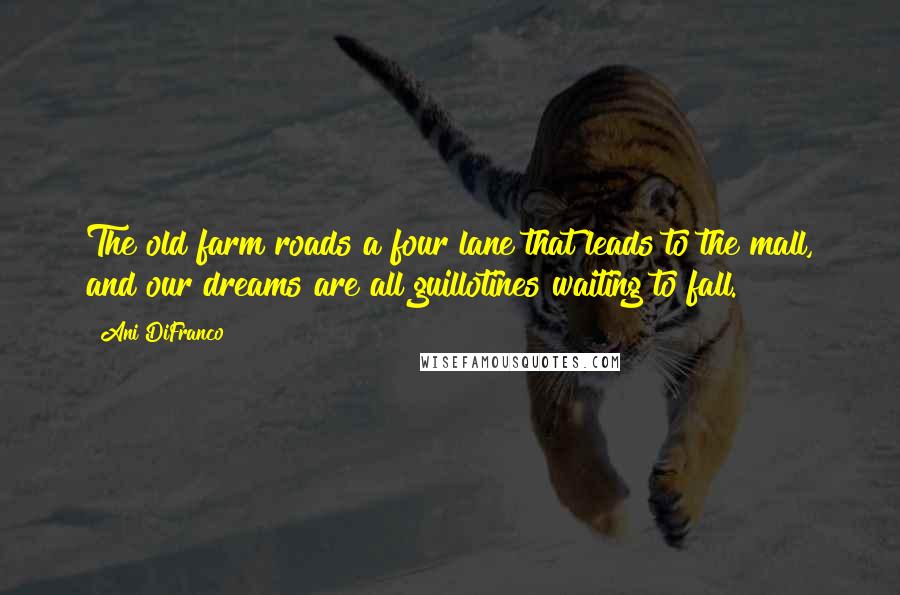 Ani DiFranco Quotes: The old farm roads a four lane that leads to the mall, and our dreams are all guillotines waiting to fall.