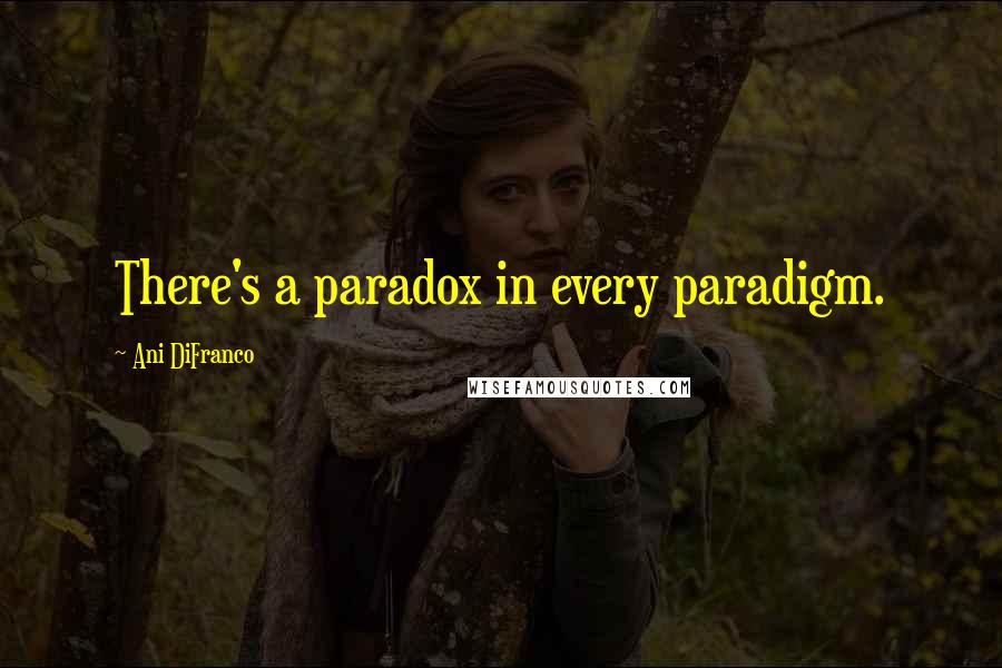 Ani DiFranco Quotes: There's a paradox in every paradigm.