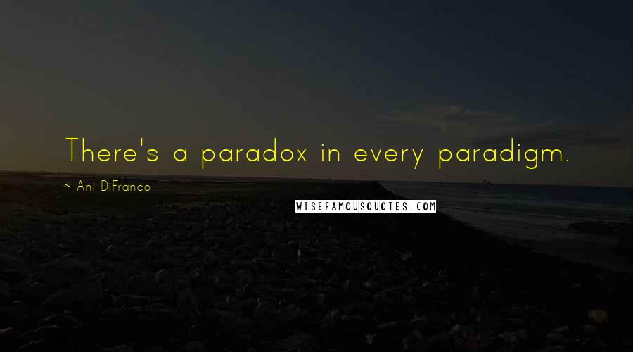 Ani DiFranco Quotes: There's a paradox in every paradigm.