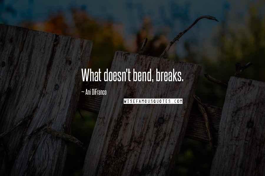 Ani DiFranco Quotes: What doesn't bend, breaks.