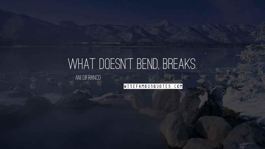 Ani DiFranco Quotes: What doesn't bend, breaks.