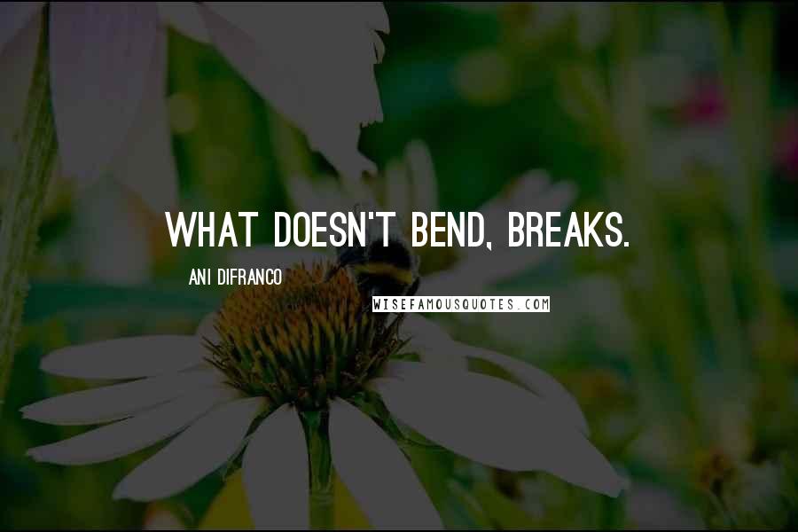 Ani DiFranco Quotes: What doesn't bend, breaks.