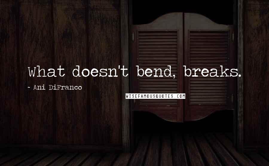 Ani DiFranco Quotes: What doesn't bend, breaks.