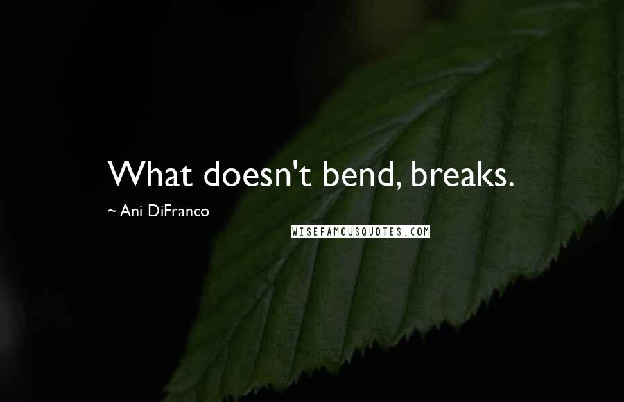 Ani DiFranco Quotes: What doesn't bend, breaks.