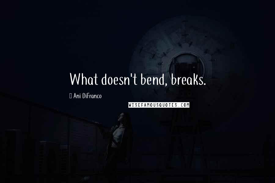 Ani DiFranco Quotes: What doesn't bend, breaks.