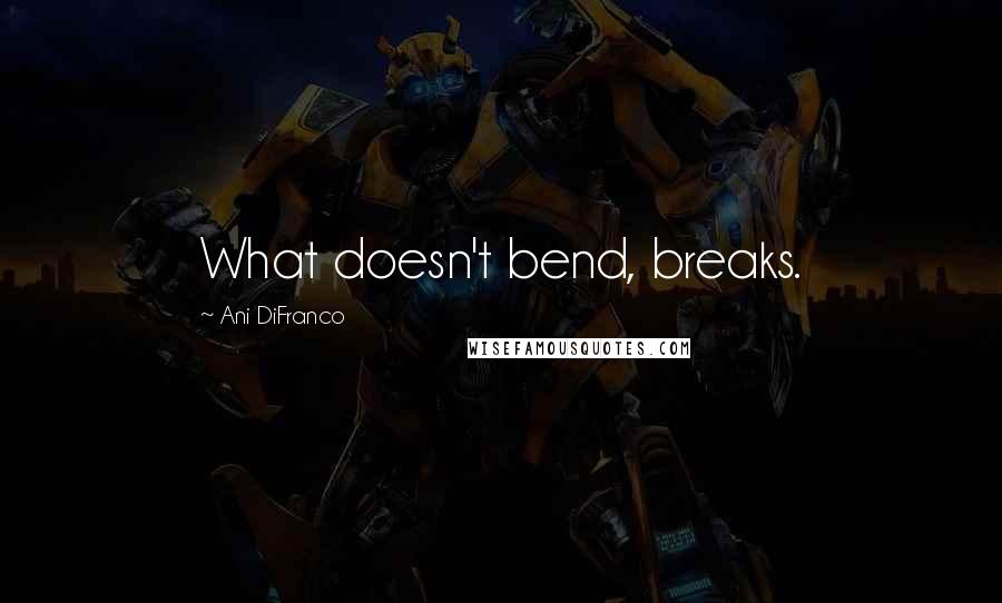 Ani DiFranco Quotes: What doesn't bend, breaks.