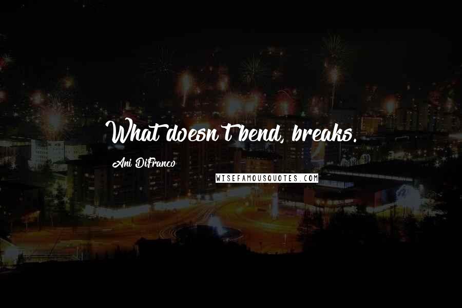 Ani DiFranco Quotes: What doesn't bend, breaks.