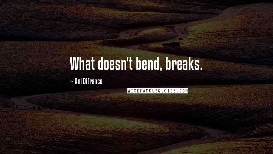 Ani DiFranco Quotes: What doesn't bend, breaks.