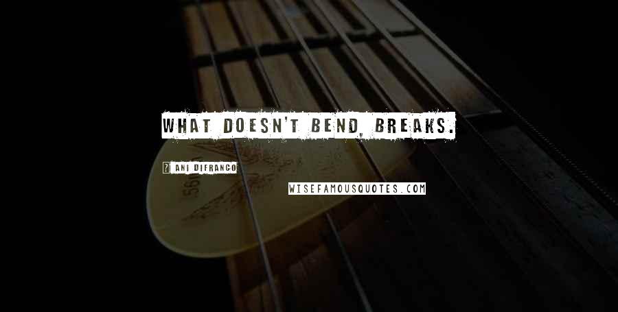 Ani DiFranco Quotes: What doesn't bend, breaks.