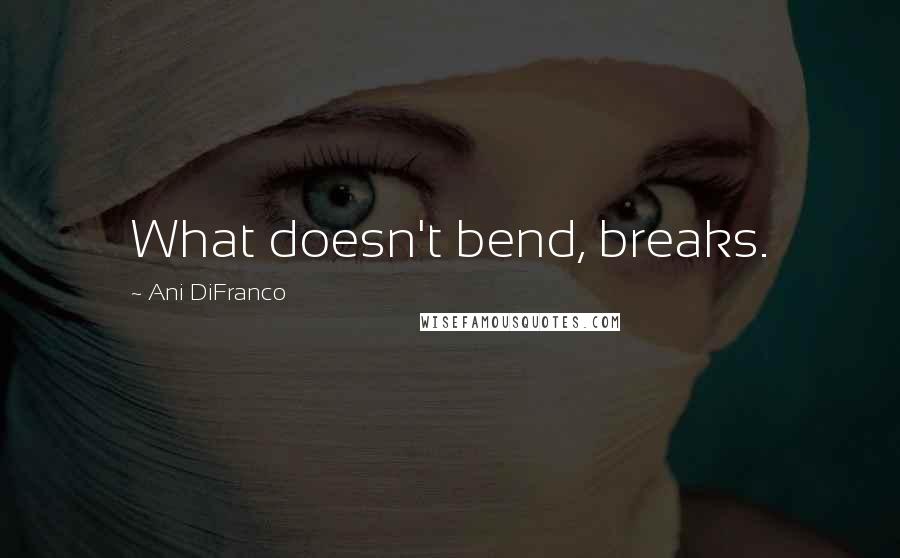 Ani DiFranco Quotes: What doesn't bend, breaks.