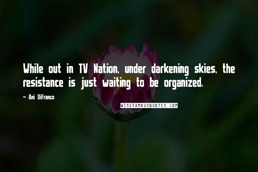 Ani DiFranco Quotes: While out in TV Nation, under darkening skies, the resistance is just waiting to be organized.