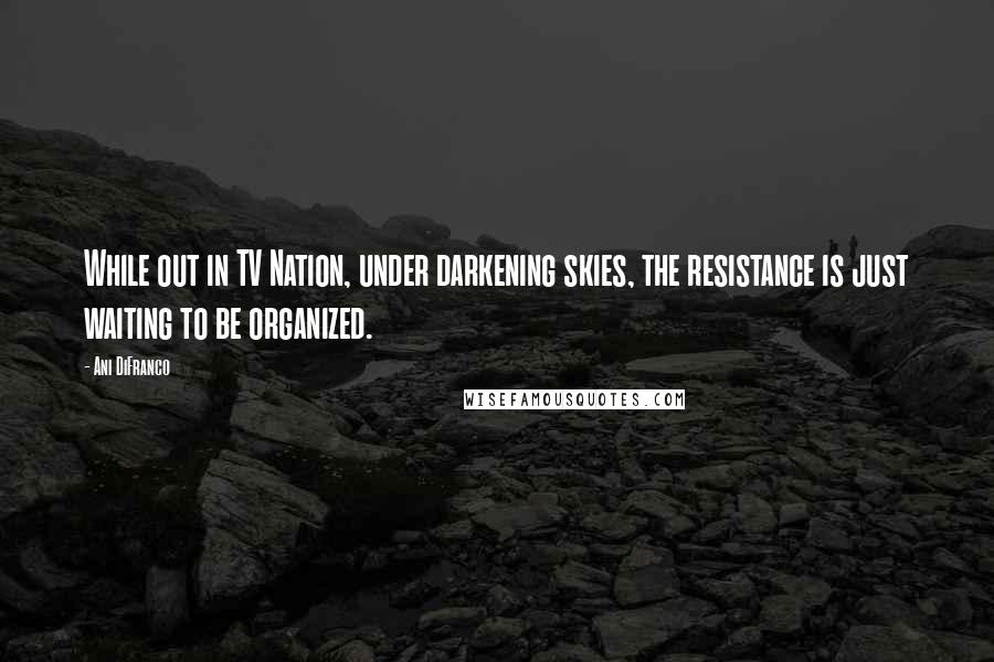 Ani DiFranco Quotes: While out in TV Nation, under darkening skies, the resistance is just waiting to be organized.