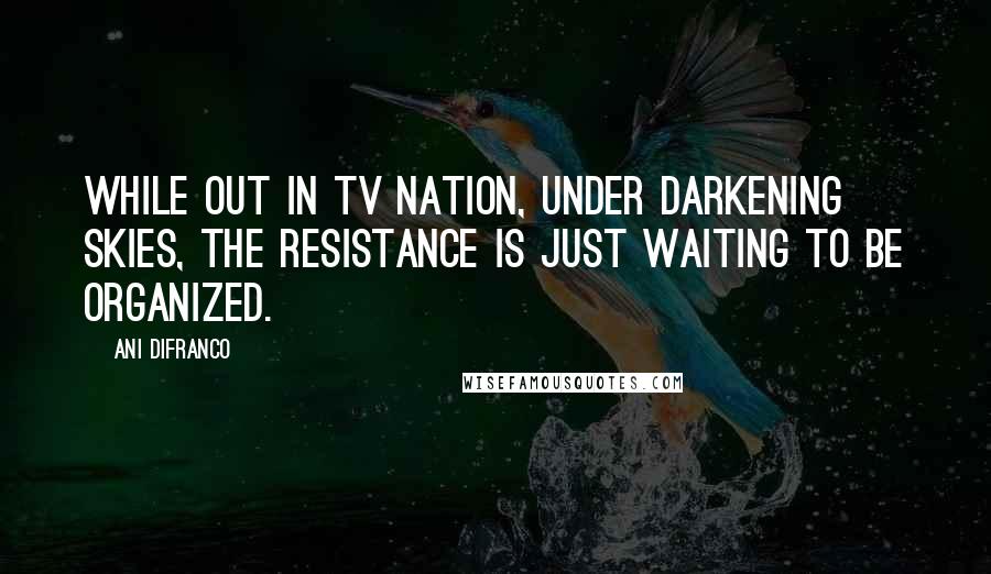 Ani DiFranco Quotes: While out in TV Nation, under darkening skies, the resistance is just waiting to be organized.