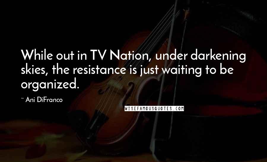 Ani DiFranco Quotes: While out in TV Nation, under darkening skies, the resistance is just waiting to be organized.