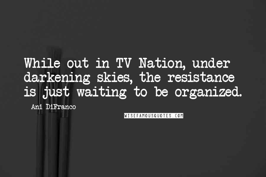 Ani DiFranco Quotes: While out in TV Nation, under darkening skies, the resistance is just waiting to be organized.