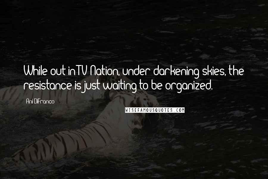 Ani DiFranco Quotes: While out in TV Nation, under darkening skies, the resistance is just waiting to be organized.