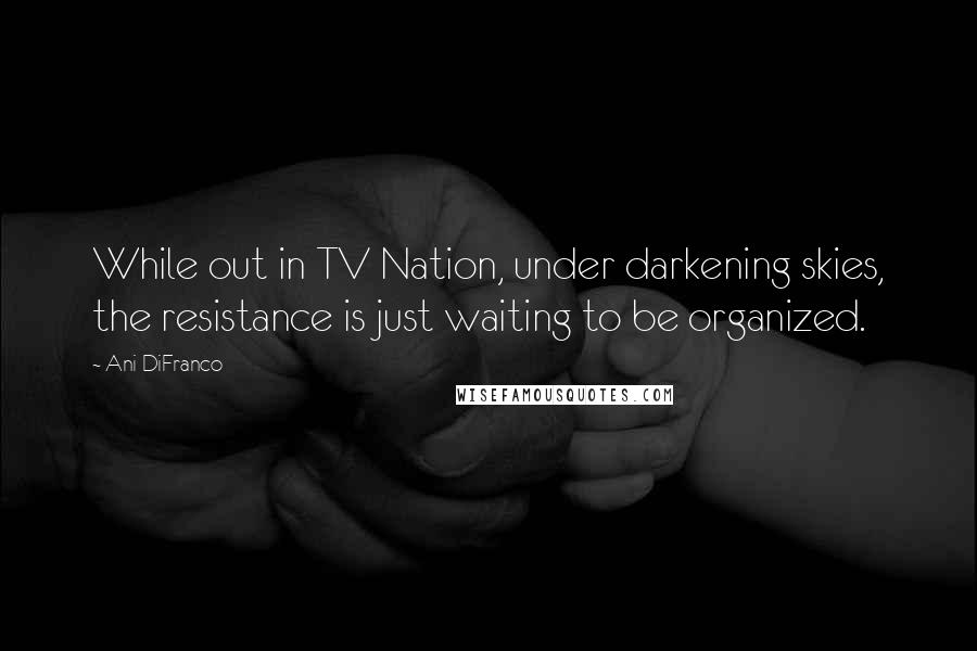 Ani DiFranco Quotes: While out in TV Nation, under darkening skies, the resistance is just waiting to be organized.