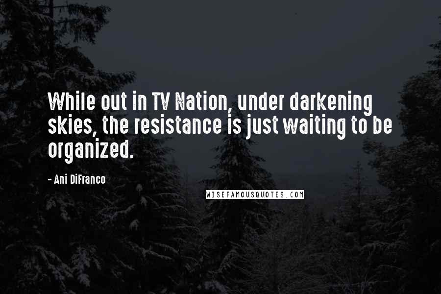 Ani DiFranco Quotes: While out in TV Nation, under darkening skies, the resistance is just waiting to be organized.