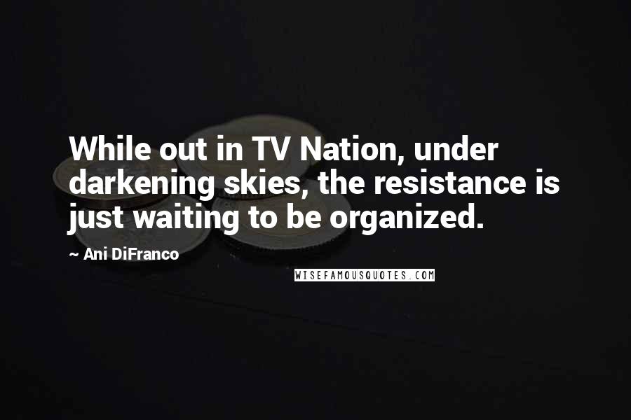 Ani DiFranco Quotes: While out in TV Nation, under darkening skies, the resistance is just waiting to be organized.