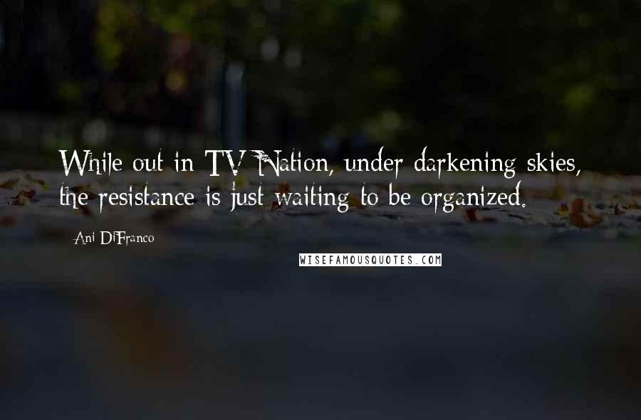 Ani DiFranco Quotes: While out in TV Nation, under darkening skies, the resistance is just waiting to be organized.