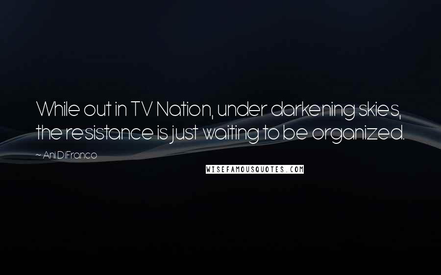 Ani DiFranco Quotes: While out in TV Nation, under darkening skies, the resistance is just waiting to be organized.