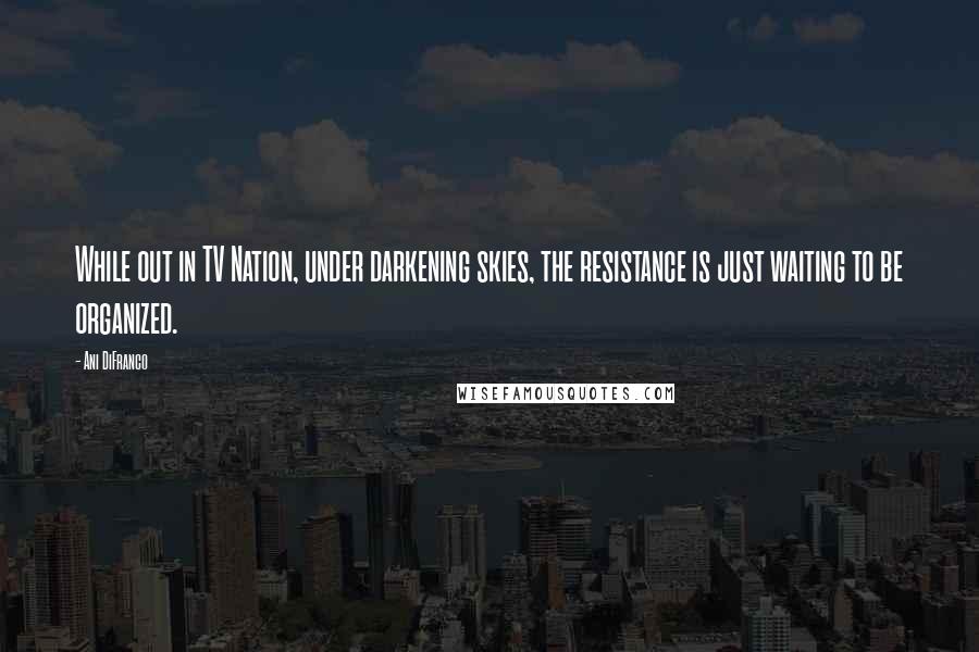 Ani DiFranco Quotes: While out in TV Nation, under darkening skies, the resistance is just waiting to be organized.