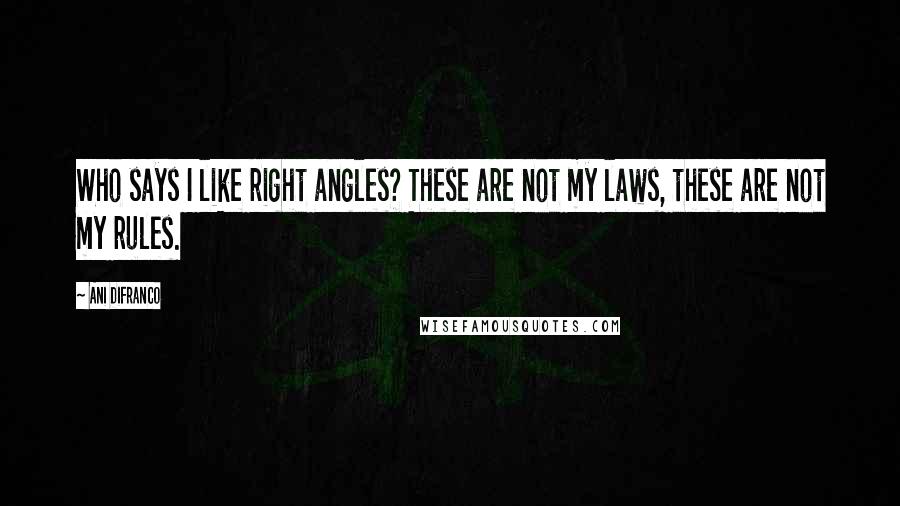 Ani DiFranco Quotes: Who says I like right angles? These are not my laws, these are not my rules.