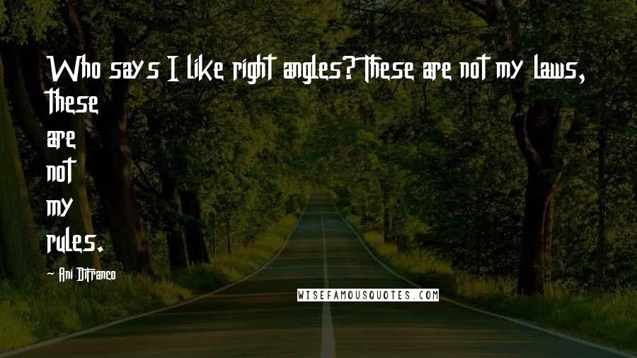 Ani DiFranco Quotes: Who says I like right angles? These are not my laws, these are not my rules.