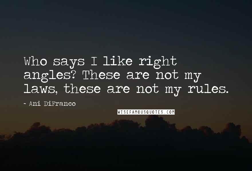 Ani DiFranco Quotes: Who says I like right angles? These are not my laws, these are not my rules.