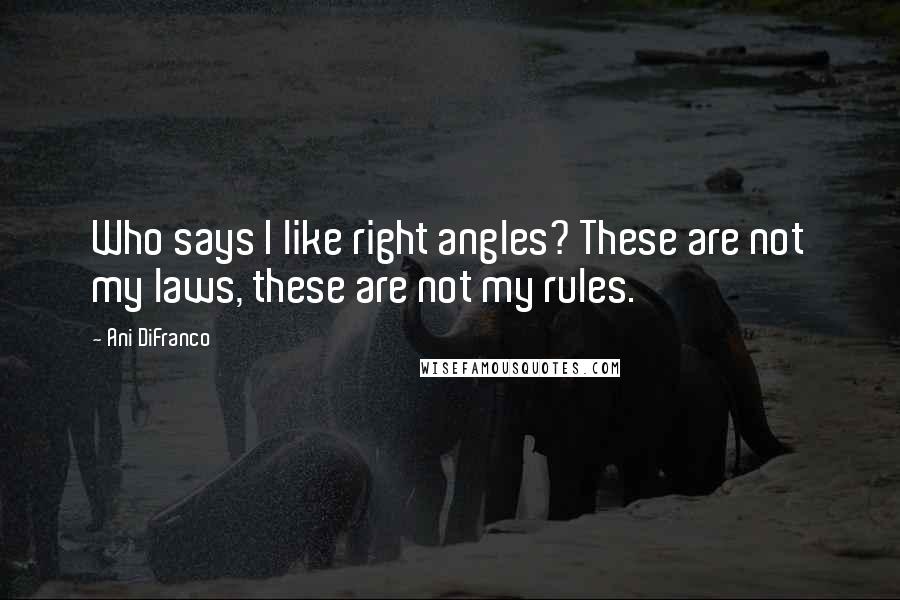 Ani DiFranco Quotes: Who says I like right angles? These are not my laws, these are not my rules.