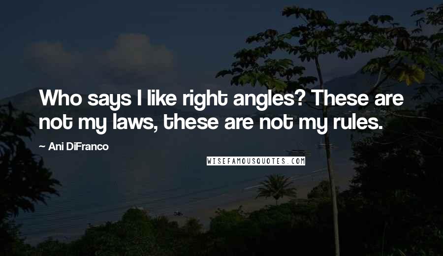 Ani DiFranco Quotes: Who says I like right angles? These are not my laws, these are not my rules.