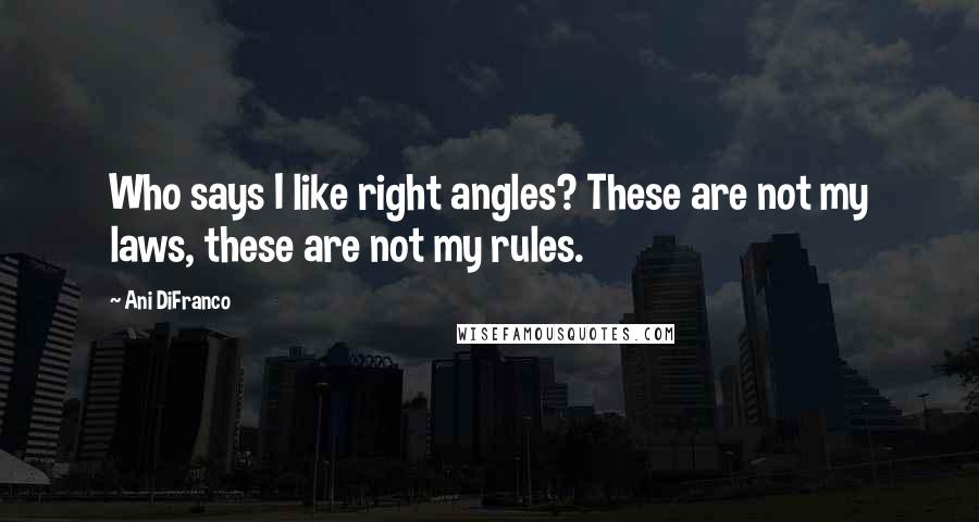 Ani DiFranco Quotes: Who says I like right angles? These are not my laws, these are not my rules.