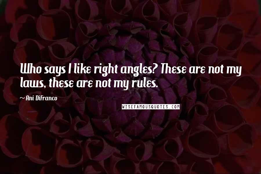 Ani DiFranco Quotes: Who says I like right angles? These are not my laws, these are not my rules.