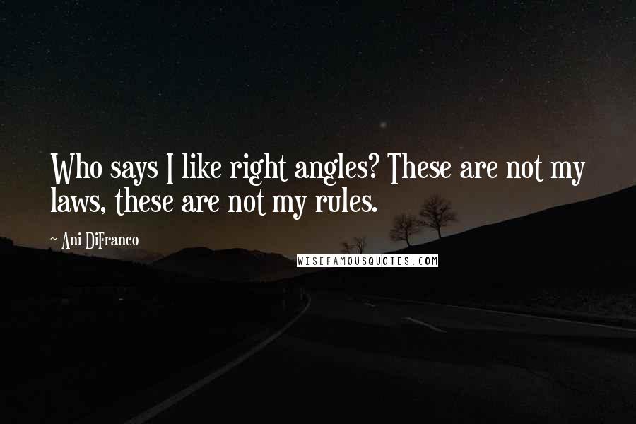 Ani DiFranco Quotes: Who says I like right angles? These are not my laws, these are not my rules.