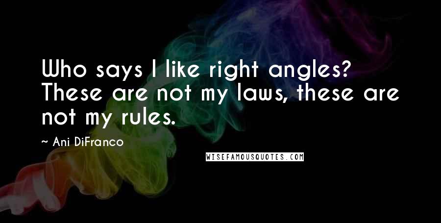 Ani DiFranco Quotes: Who says I like right angles? These are not my laws, these are not my rules.