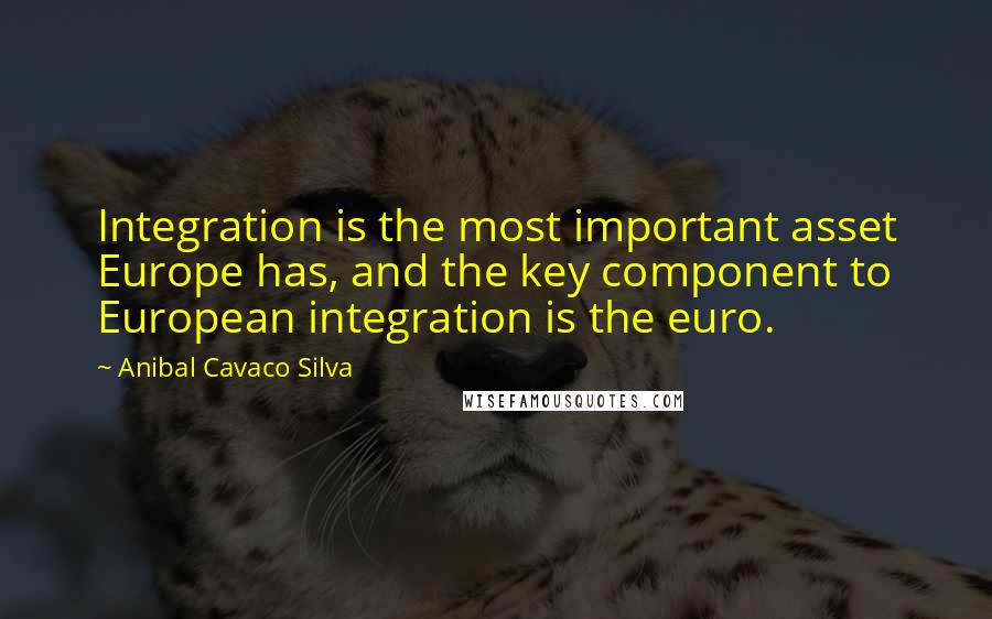 Anibal Cavaco Silva Quotes: Integration is the most important asset Europe has, and the key component to European integration is the euro.