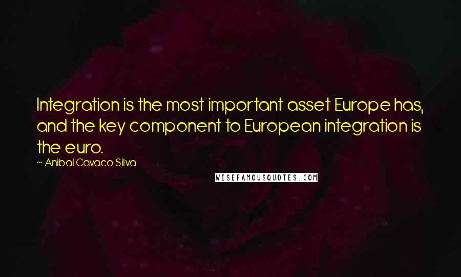 Anibal Cavaco Silva Quotes: Integration is the most important asset Europe has, and the key component to European integration is the euro.