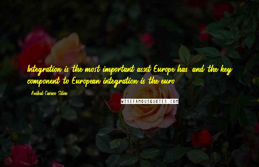 Anibal Cavaco Silva Quotes: Integration is the most important asset Europe has, and the key component to European integration is the euro.