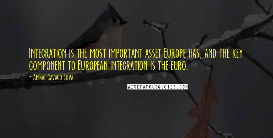 Anibal Cavaco Silva Quotes: Integration is the most important asset Europe has, and the key component to European integration is the euro.