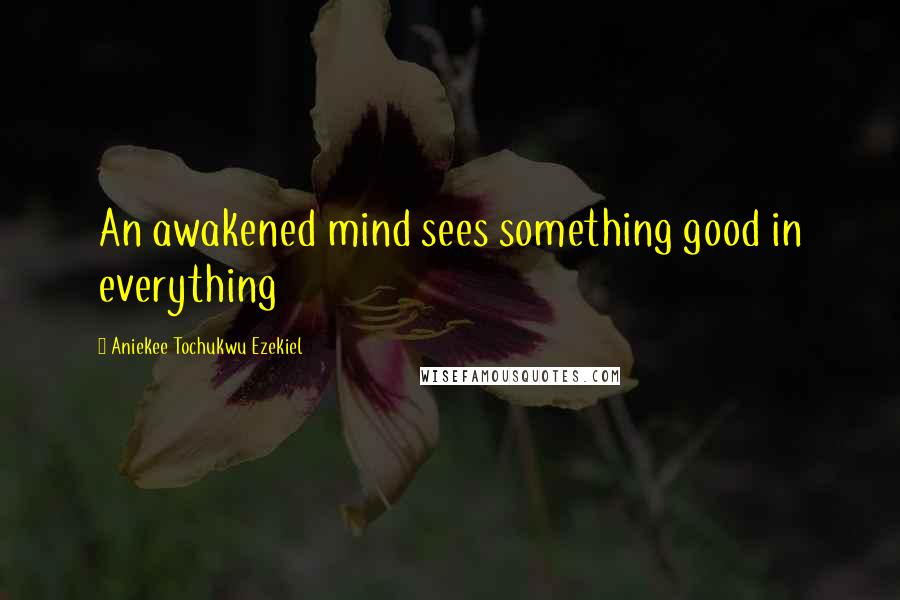 Aniekee Tochukwu Ezekiel Quotes: An awakened mind sees something good in everything