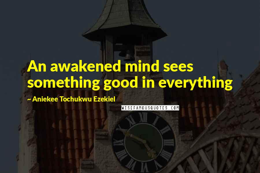 Aniekee Tochukwu Ezekiel Quotes: An awakened mind sees something good in everything