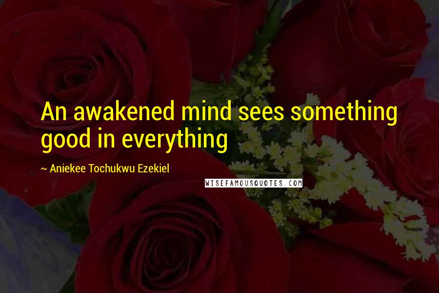 Aniekee Tochukwu Ezekiel Quotes: An awakened mind sees something good in everything