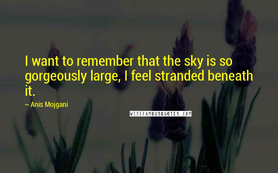 Anis Mojgani Quotes: I want to remember that the sky is so gorgeously large, I feel stranded beneath it.