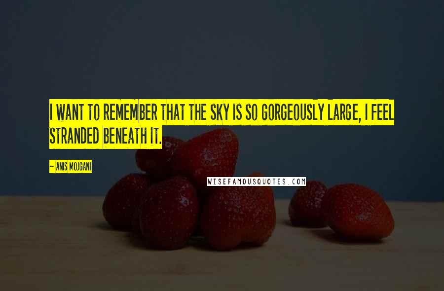 Anis Mojgani Quotes: I want to remember that the sky is so gorgeously large, I feel stranded beneath it.