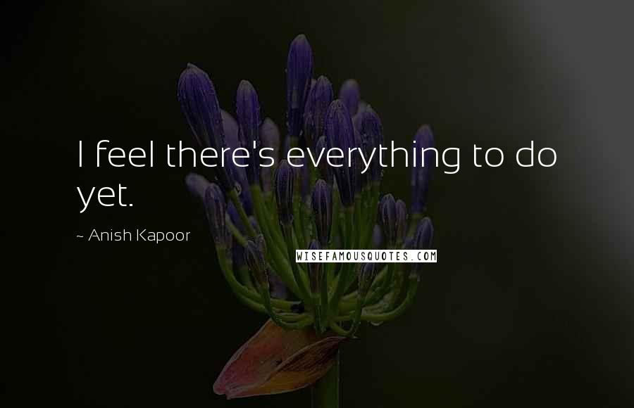Anish Kapoor Quotes: I feel there's everything to do yet.